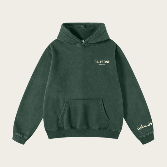 Acid Wash Palissentials Hoodie